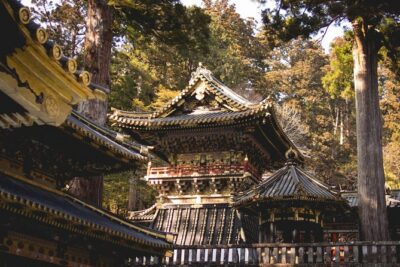 Nikko Private Day Tour from Tokyo with English-Speaking Driver - Door-to-Door Transport: Timing, Traffic, and a 10-Hour Reality Check