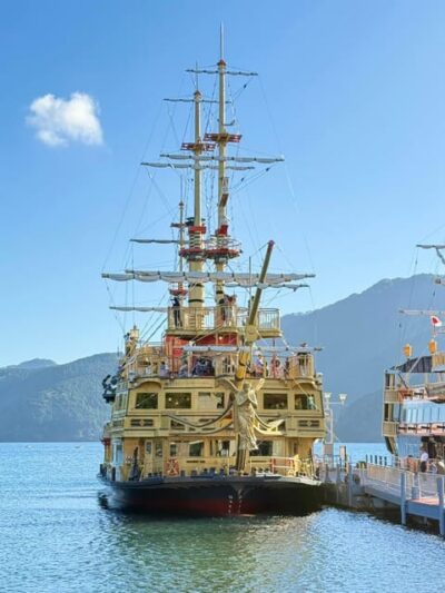 Nikko Private Day Tour with English Speaking Expert Driver - Private transport: the quiet advantage of your own vehicle