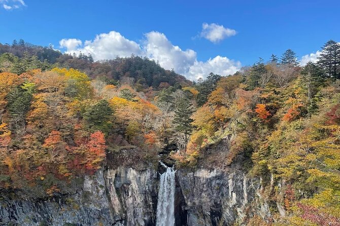 Nikko Private Day Tour with Guide by Car (from Tokyo) - Kegon Falls: the star waterfall, with one important cost detail