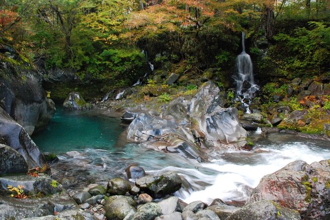 Nikko Private SightSeeing Day Tour With Guide (From Tokyo) - Stop 3: Kegon Falls and the drama of almost 100 meters