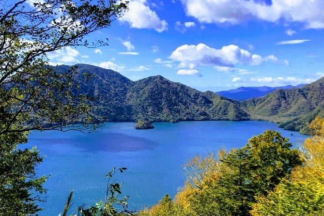 Nikko Private Tour by public transportation - The “private” part matters more than you think