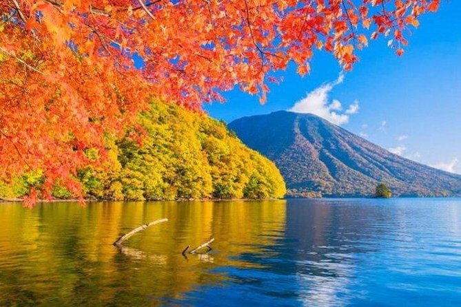 Nikko Private Tour from Tokyo with Licensed Guide and Vehicle - Toshogu and the Tokugawa mausoleums: where Nikko starts feeling special