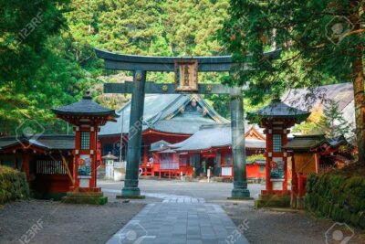 Nikko private tour with English speaking guide - Tokyo pickup and the 10-hour rhythm (comfort beats stress)