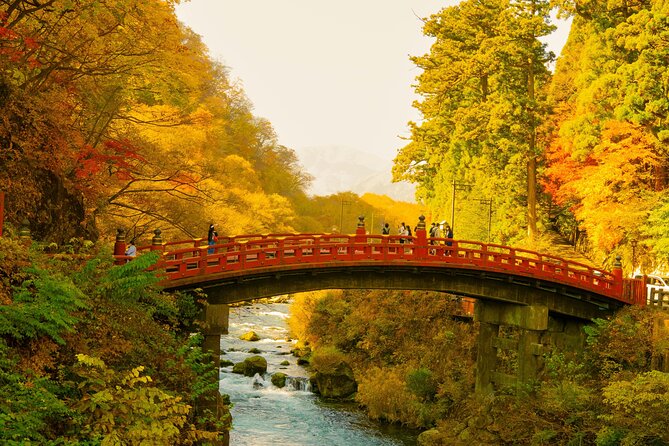 Nikko Tour by Private Car and English Speaking Driver - Kegon Falls: The 97-Meter Drop You Can Actually Time