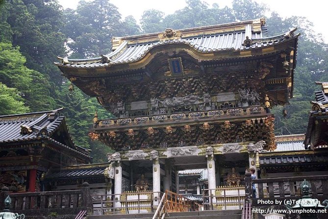 Nikko World Heritage 1 Day Tour - Who this tour suits best