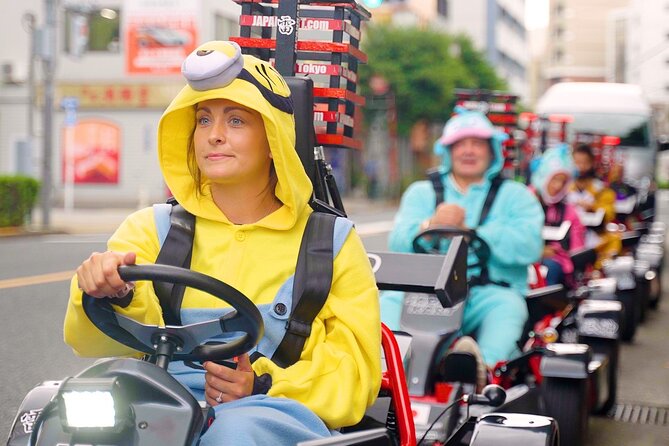 Official Japan Go-Kart Through Tokyo Bay / Ginza (IDP Required) - Safety briefing, road rules, and why it matters in Japan