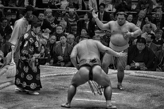 Official Sumo Tournament Ticket with Guided Experience - A guide that turns rules, rankings, and rituals into sense