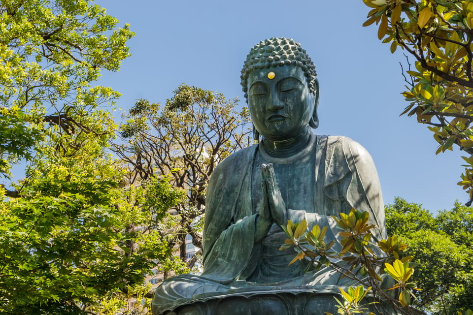 Old and Nostalgic Tokyo: Half-Day Yanaka Walking Tour - Nezu Shrine: 1706 Tokugawa roots and a calmer kind of spectacle