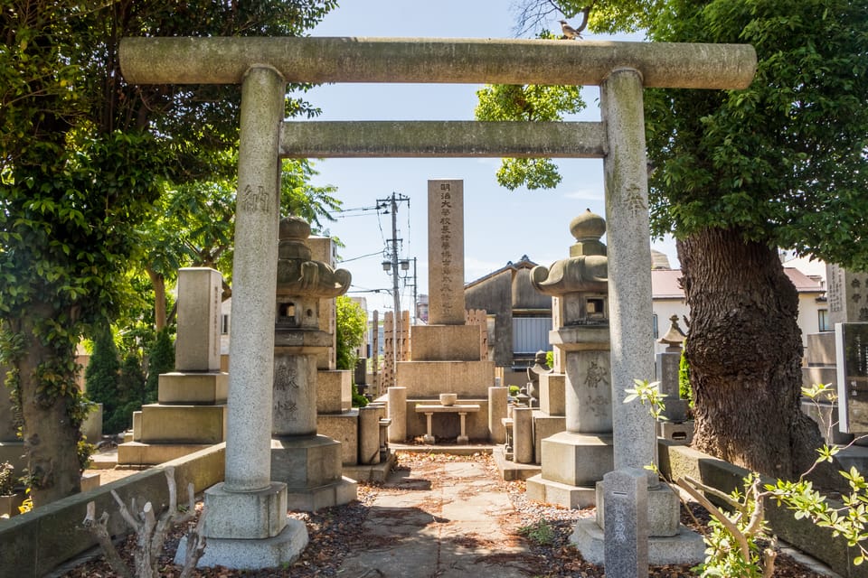 Old and Nostalgic Tokyo: Half-Day Yanaka Walking Tour - The slope views and the Yanesen sense of time travel