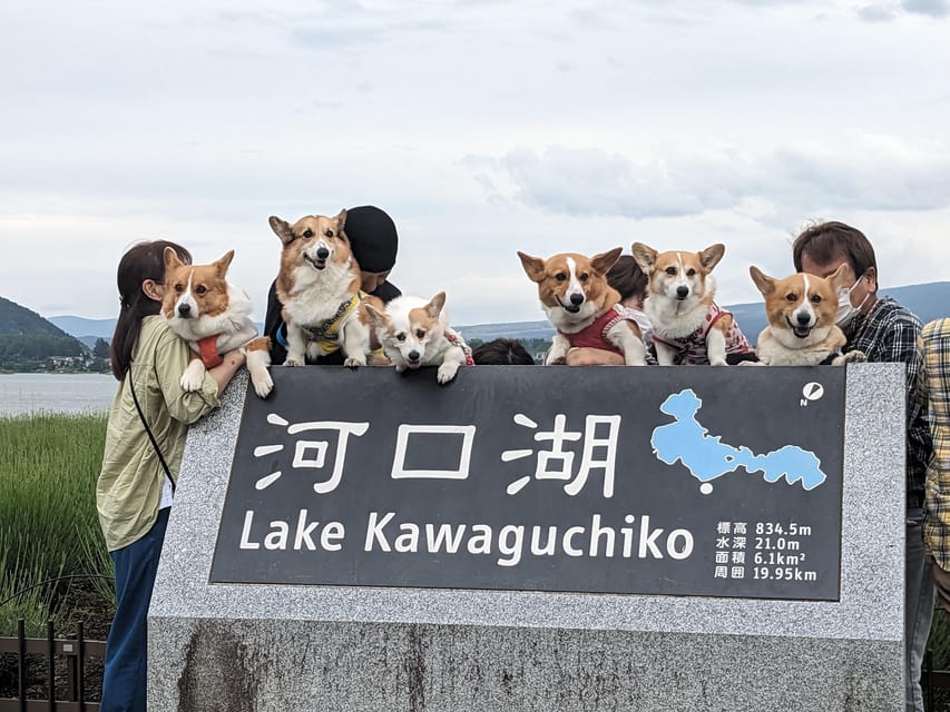 One Day 10hrs Mount Fuji Tour English Speaking Driver - A Private 10-Hour Mount Fuji Circuit From Tokyo