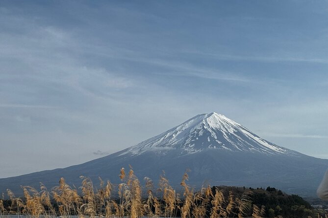 One day mountain Fuji & Hakone tour with English hindi bilingual - Morning Setup: Pickup, Timing, and What to Carry