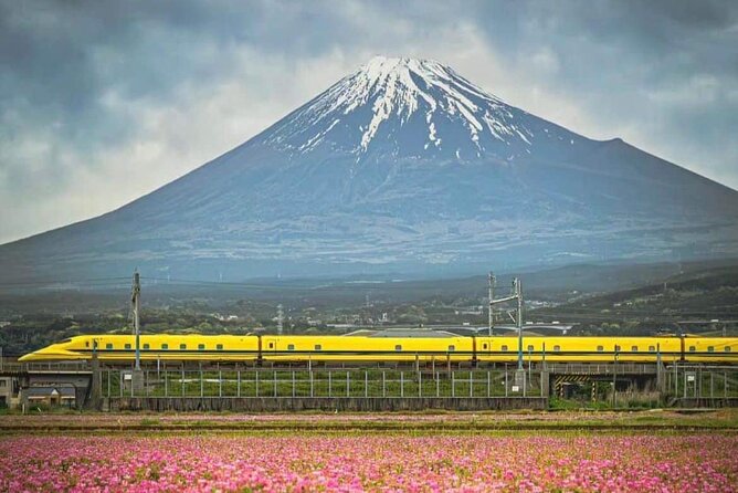One day mountain Fuji & Hakone tour with English hindi bilingual - Shrines and Oshino Hakkai Ponds: Calm Stops Between Big Views