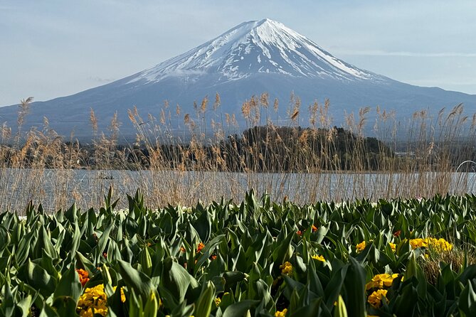 One day mountain Fuji & Hakone tour with English hindi bilingual - Kawaguchiko to Mt. Fuji 5th Station: The Big Photo Payoff