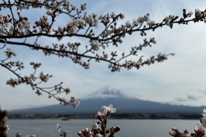 One day mountain Fuji & Hakone tour with English hindi bilingual - Lake Ashi and Owakudani Valley: Hakone Gets Dramatic