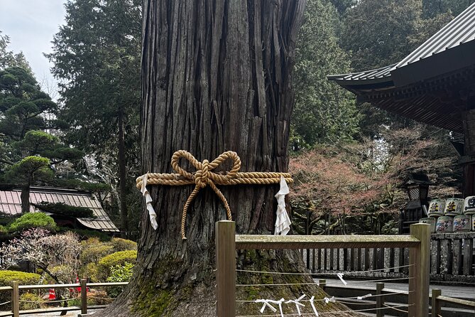 One day mountain Fuji & Hakone tour with English hindi bilingual - Price and Value for a Private Group Up to 6