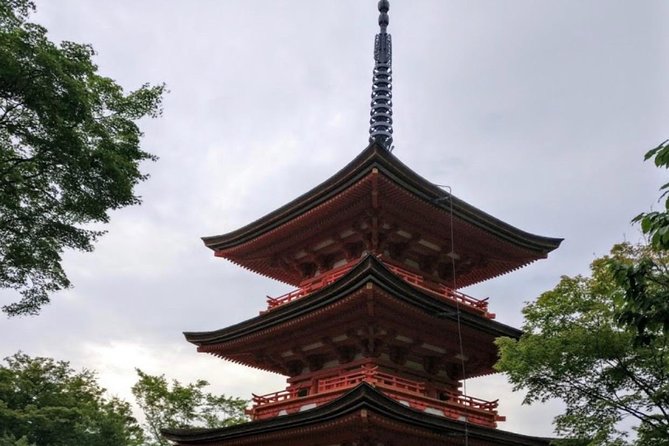 One Day Private Tour Nikko Tochigi only for Your Family by car - Private hotel pickup: leaving Tokyo on easy mode