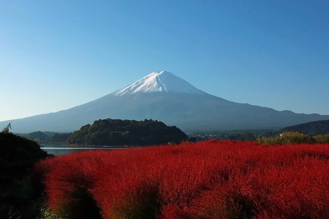 One Day Tour to Oishi Park and Fruit Picking in Mt. Fuji Tokyo - Key highlights you’ll actually feel during the day