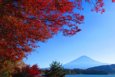One Day Tour to Oishi Park and Fruit Picking in Mt. Fuji Tokyo - Stop 1 in Yamanashi: the farm tour and fruit picking time
