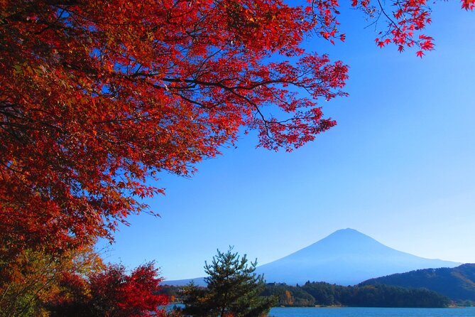 One Day Tour to Oishi Park and Fruit Picking in Mt. Fuji Tokyo - Stop 1 in Yamanashi: the farm tour and fruit picking time