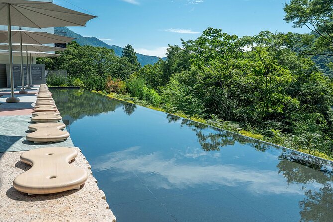 One day trip to Hakone from Tokyo with English speaking Driver - Best moments for photos and best times to go “slow”