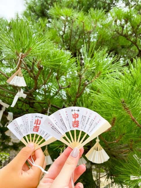 Osaka: Kyoto By The Sea with Amanohashidate & Ine no Funaya - How the pacing works: highway time, breaks, and photo help