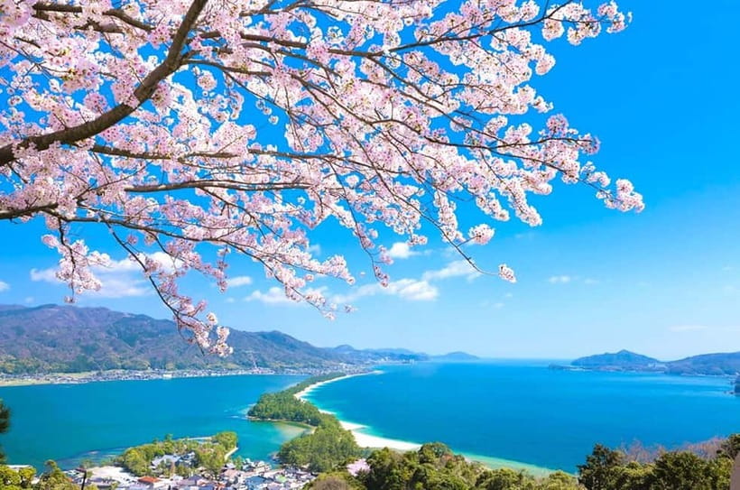 Osaka: Kyoto By The Sea with Amanohashidate & Ine no Funaya - Price reality check: what $55 buys (and what to budget extra)