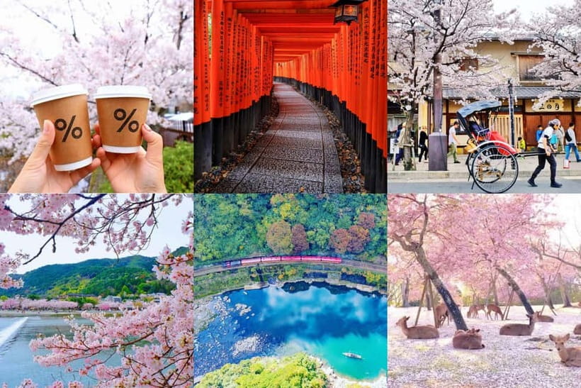 Osaka/Kyoto/Nara: Private Full-Day Sightseeing Tour - Key Points To Know Before You Go