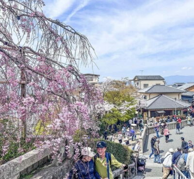 Osaka/Kyoto/Nara: Private Full-Day Sightseeing Tour - Where Pickup Fits: Osaka, Kyoto, and Nara