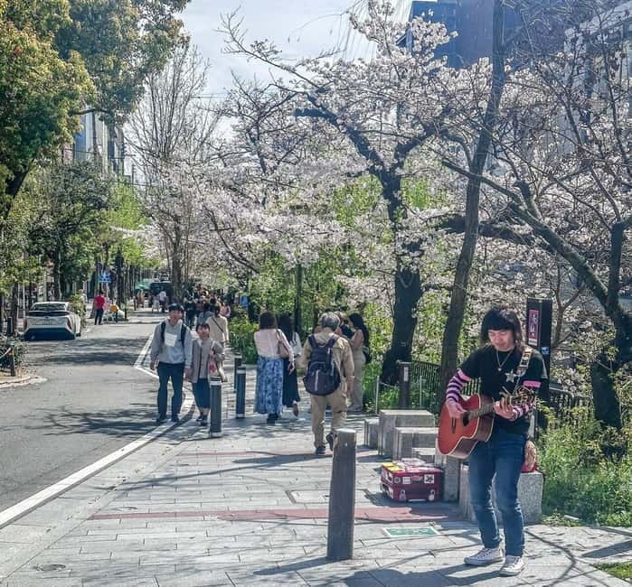 Osaka/Kyoto/Nara: Private Full-Day Sightseeing Tour - Food, Tickets, and Timing: How to Avoid a Day That Feels Rushed