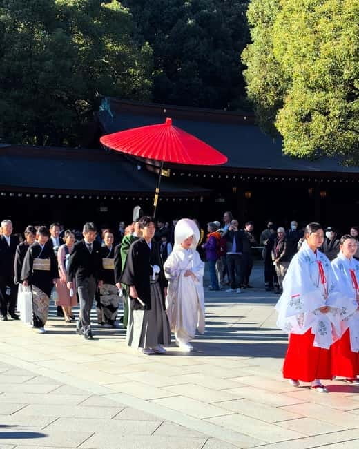Perfect Start for your Japan Trip - Private Tour in Tokyo - Harajuku and Takeshita Street: style, shopping energy, and street snacks