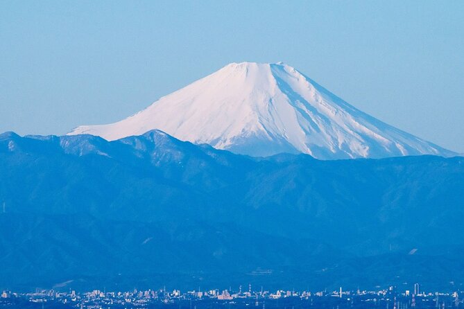 Private Airport transfer Haneda Airport(HND) to Tokyo City - The ride: private vehicle for up to 8 and real luggage handling