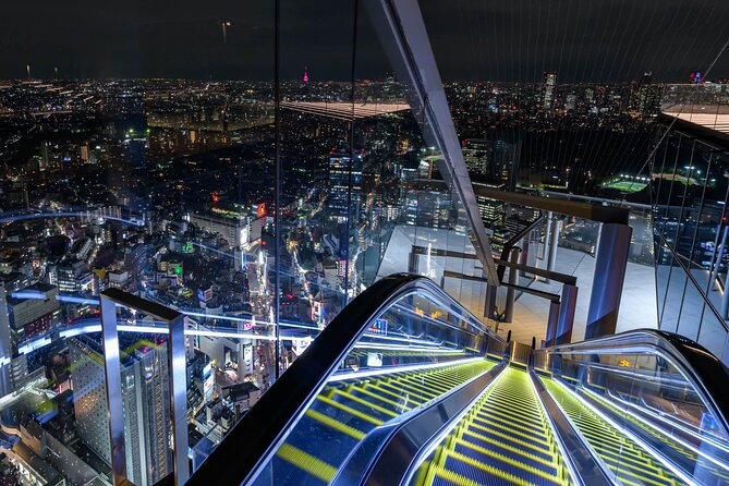 Private Airport transfer Haneda Airport(HND) to Tokyo City - Flight delays and rescheduling without losing your day