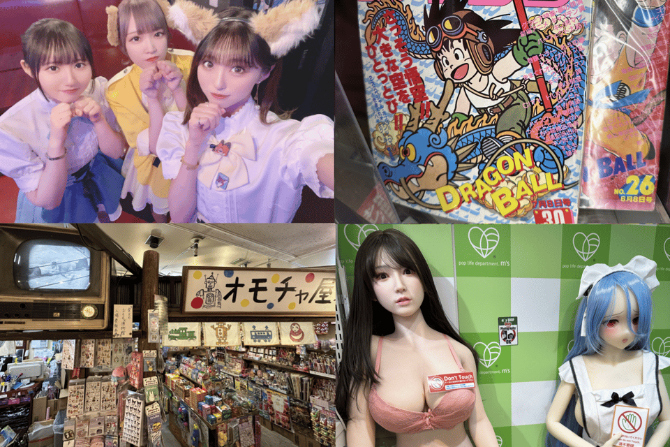 Private Akihabara Anime Game Maid Cafe Tour w/ free pickup - Key points to know before you go
