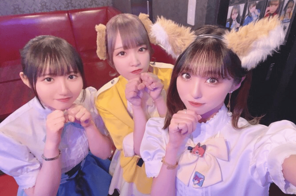 Private Akihabara Anime Game Maid Cafe Tour w/ free pickup - Getting your Akihabara route right: customization that actually matters