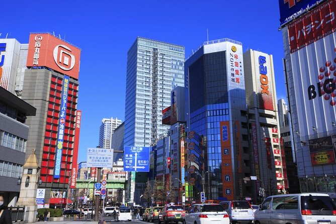Private Akihabara Anime Guided Walking Tour - Key highlights you’ll care about
