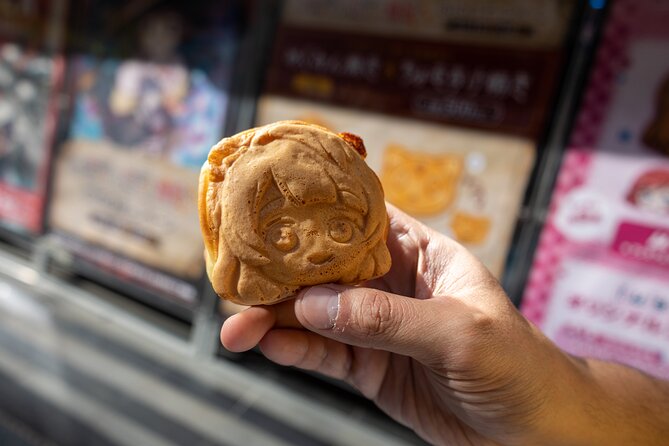 Private Akihabara anime Tour(walking Tour with photography) - Yanagimori Shrine: Anime Footnotes and a Rare Tanuki Connection