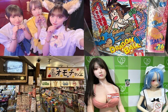 Private Akihabara Retro Tokyo Anime Game Maid Cafe Tour w/ pickup - Key Points to Know Before You Go