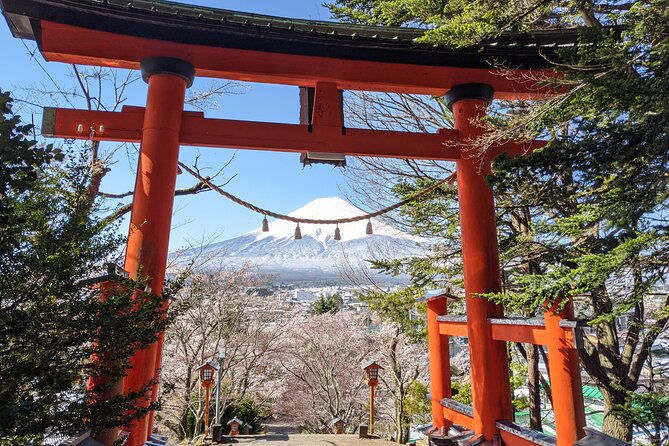 Private Car Mt Fuji and Gotemba Outlet in One Day from Tokyo - World Heritage Center and the Mt. Fuji ropeway: easy wins when visibility shifts
