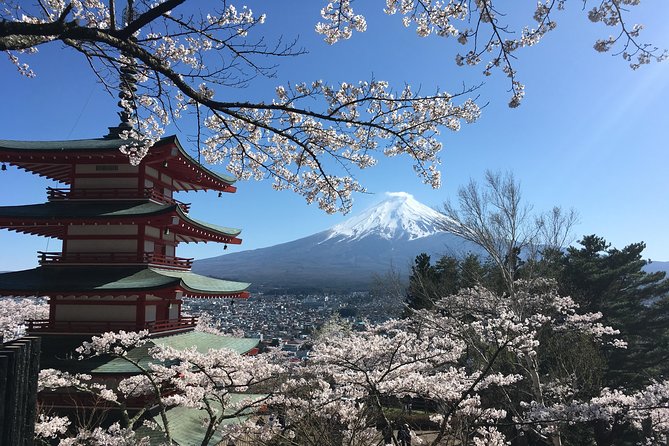Private Car Mt Fuji and Gotemba Outlet in One Day from Tokyo - Optional adventure stops in Aokigahara: caves and forest time