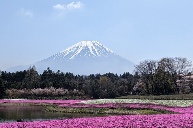 Private Car Mt Fuji and Gotemba Outlet in One Day from Tokyo - The big decision: Mt. Fuji 5th Station (toll, timing, and season limits)