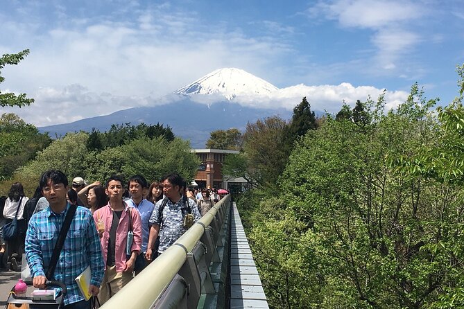 Private Car Mt Fuji and Gotemba Outlet in One Day from Tokyo - Extra seasonal options: snow and ski time on Fuji