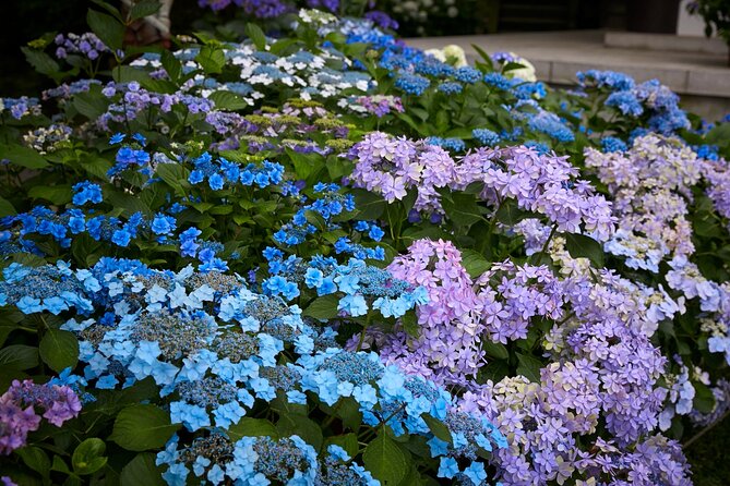 Private Car Tour to see Highlights of Kamakura, Enoshima, Yokohama from Tokyo - Zen Temples With Garden Time: Kencho-ji and Engaku-ji