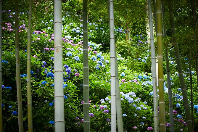 Private Car Tour to see Highlights of Kamakura, Enoshima, Yokohama from Tokyo - Flower-Temple Hasedera and the Samurai-Era Shrine Circuit