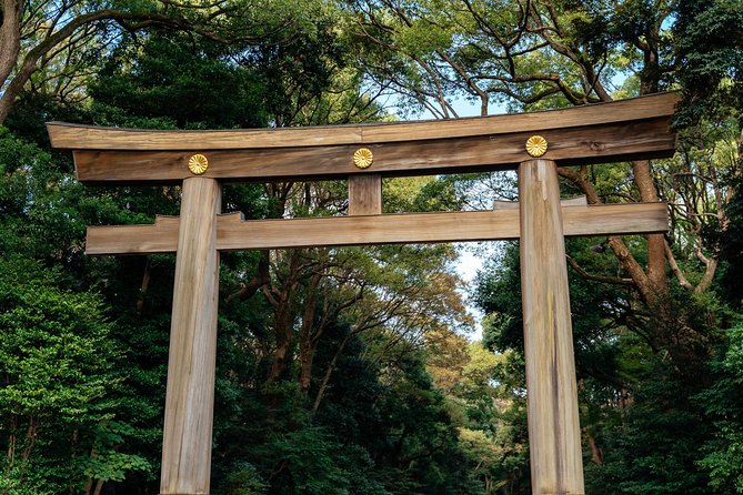 Private City Kickstart Tour: Tokyo - Entering Tokyo Mode: What This 90-Minute Private Kickstart Really Gives You