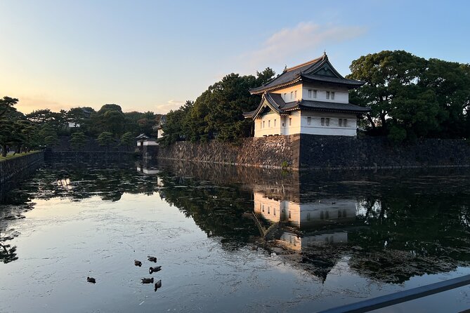 Private Custom Tour in Tokyo with a Bilingual Japanese Guide - Meiji Shrine to Takeshita Street: forest calm, then candy-colored chaos