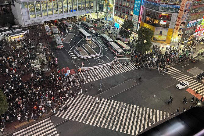 Private Custom Tour in Tokyo with a Bilingual Japanese Guide - Tsukiji for market-food stops: Tokyo tastes you can point to