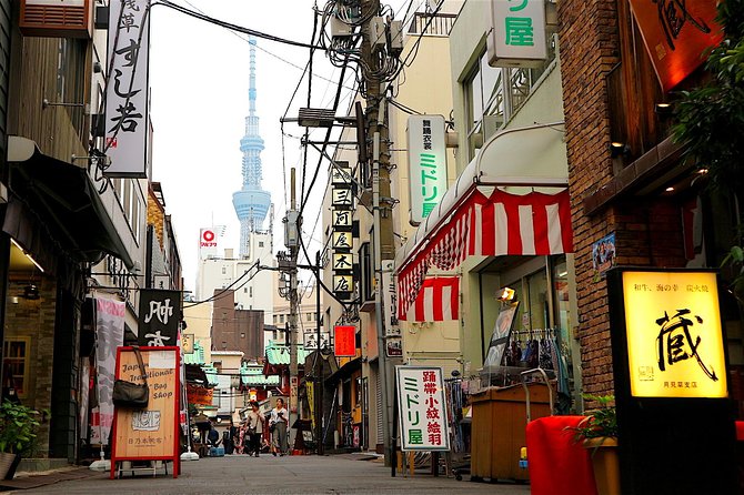 Private Customizable Walking Tour of Tokyo - Tsukiji’s Outer Market and Yanaka’s slower, local mood