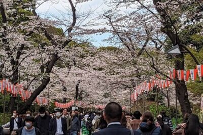 Private Day Tour In Tokyo with a Native English Speaker - Asakusa and Sensoji: the traditional Tokyo starter you’ll feel right away