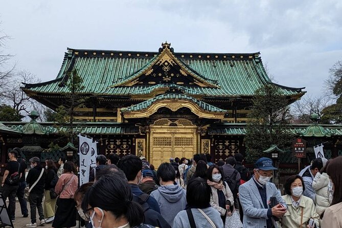 Private Day Tour In Tokyo with a Native English Speaker - Tsukiji: market atmosphere without needing to be a seafood expert