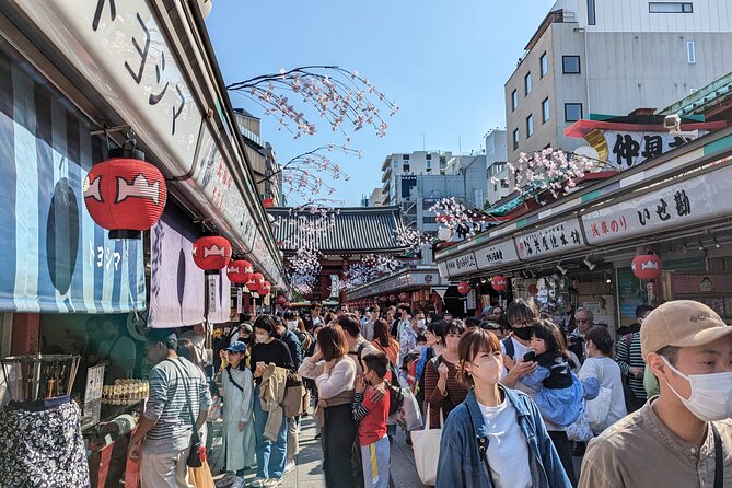 Private Day Tour In Tokyo with a Native English Speaker - Akihabara: anime, electronics, and figure-shopping help
